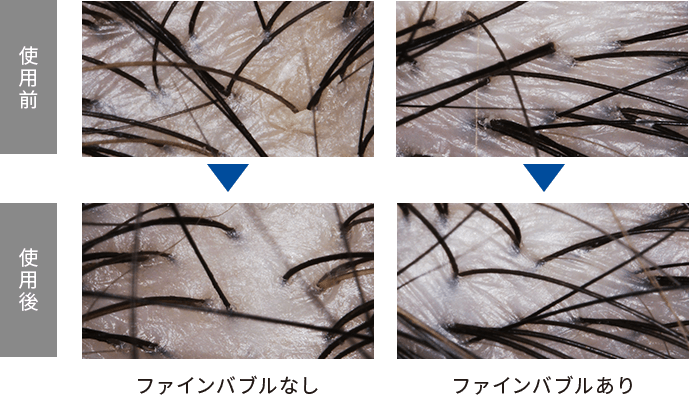 ファインバブルなしとファインバブルあり