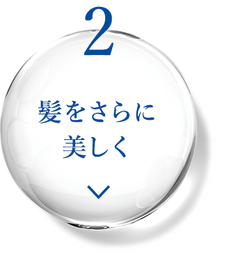 2 髪をさらに美しく
