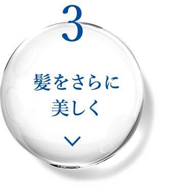 3 髪をさらに美しく
