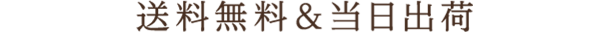 送料無料&当日出荷