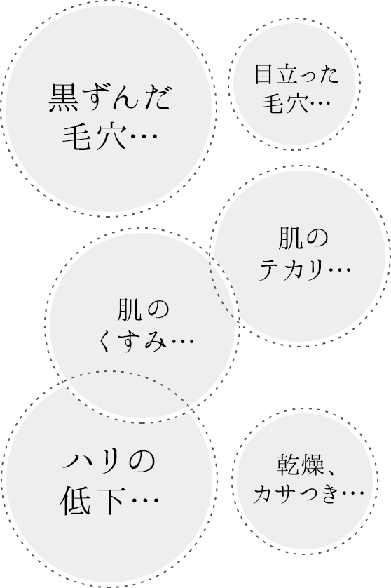 黒ずんだ毛穴/目立った毛穴/肌のくすみ/肌のテカリ/ハリの低下/乾燥、カサつき