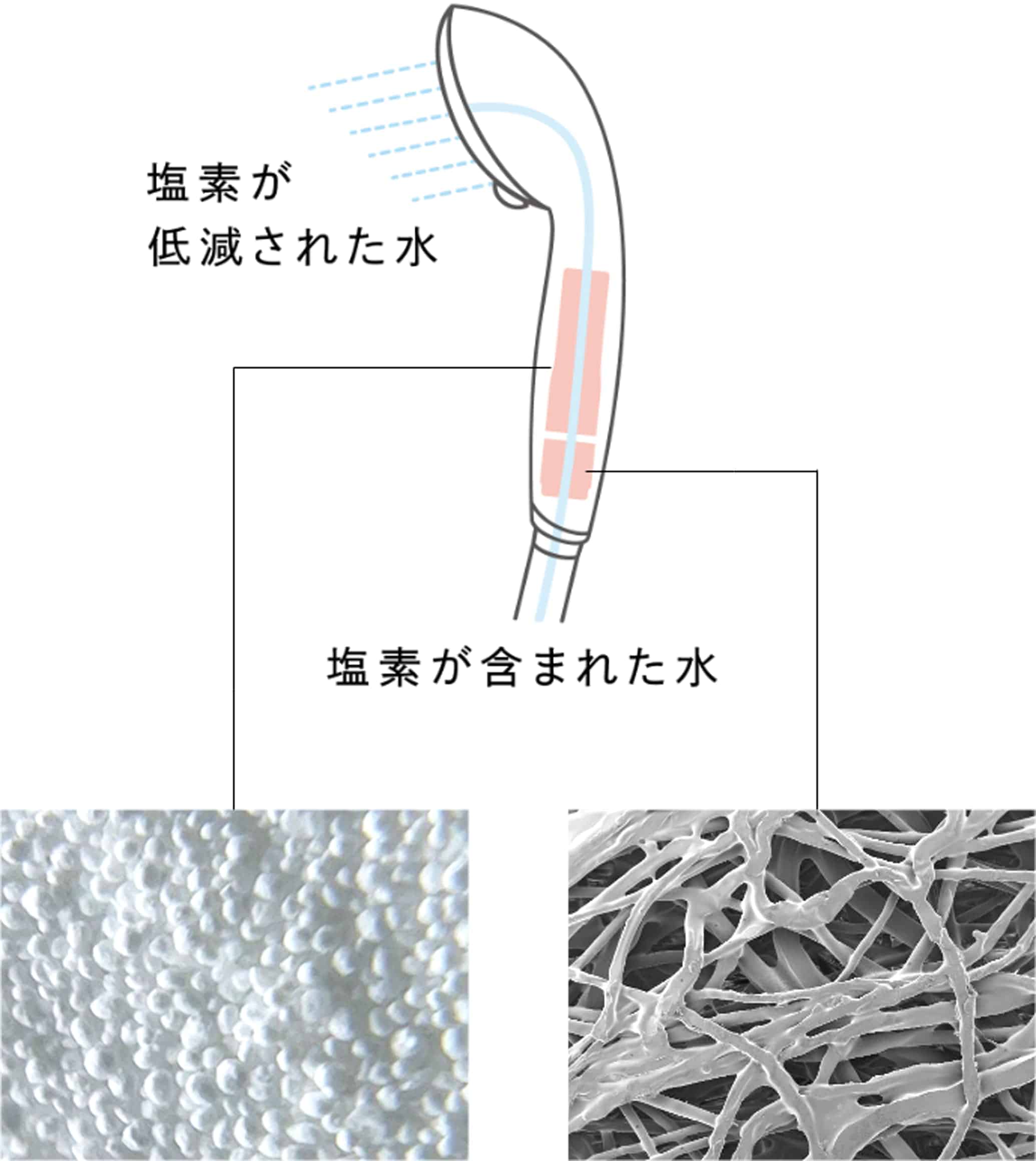 塩素が低減