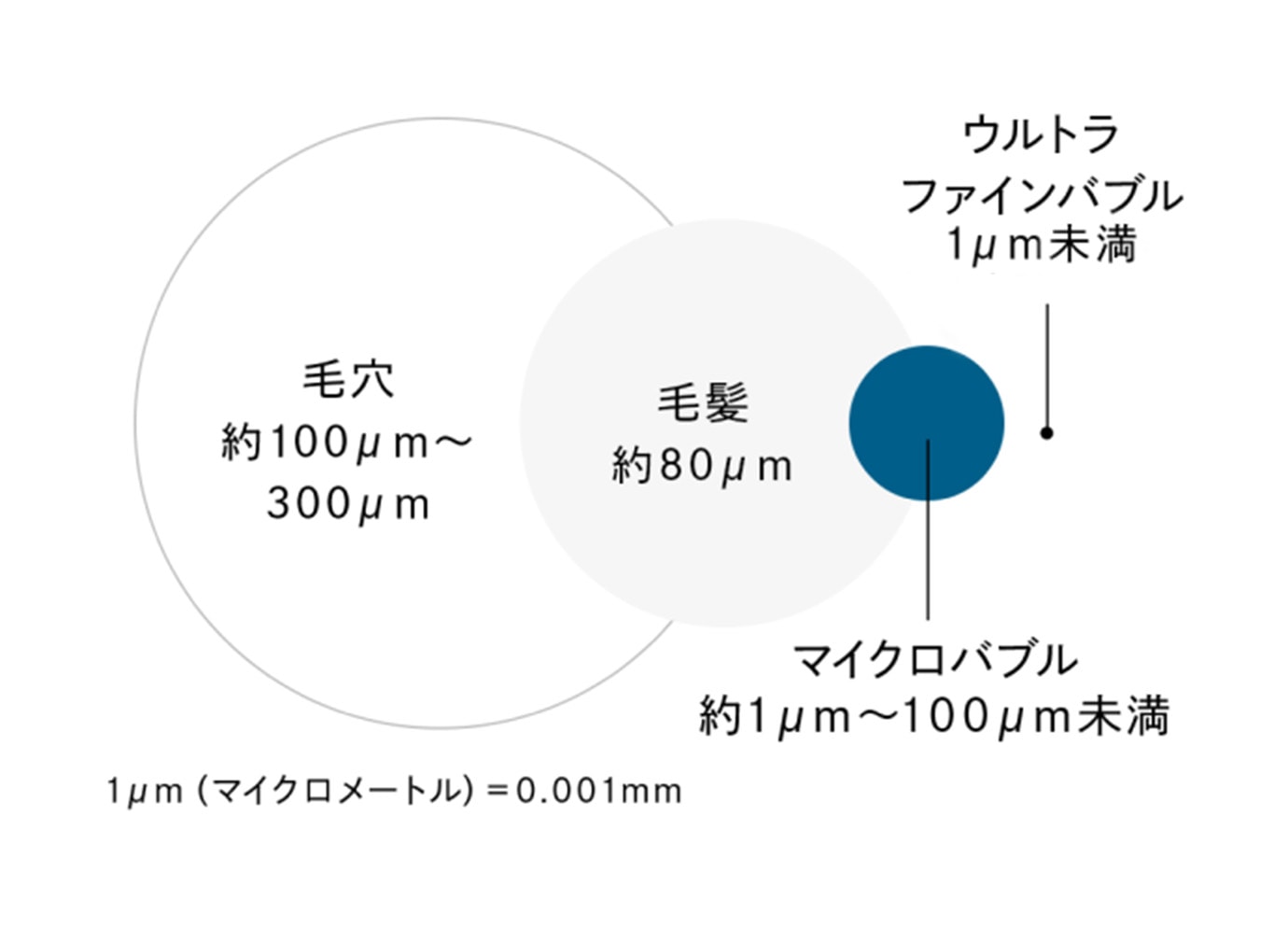 2種のファインバブル