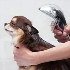 ペットにやさしい