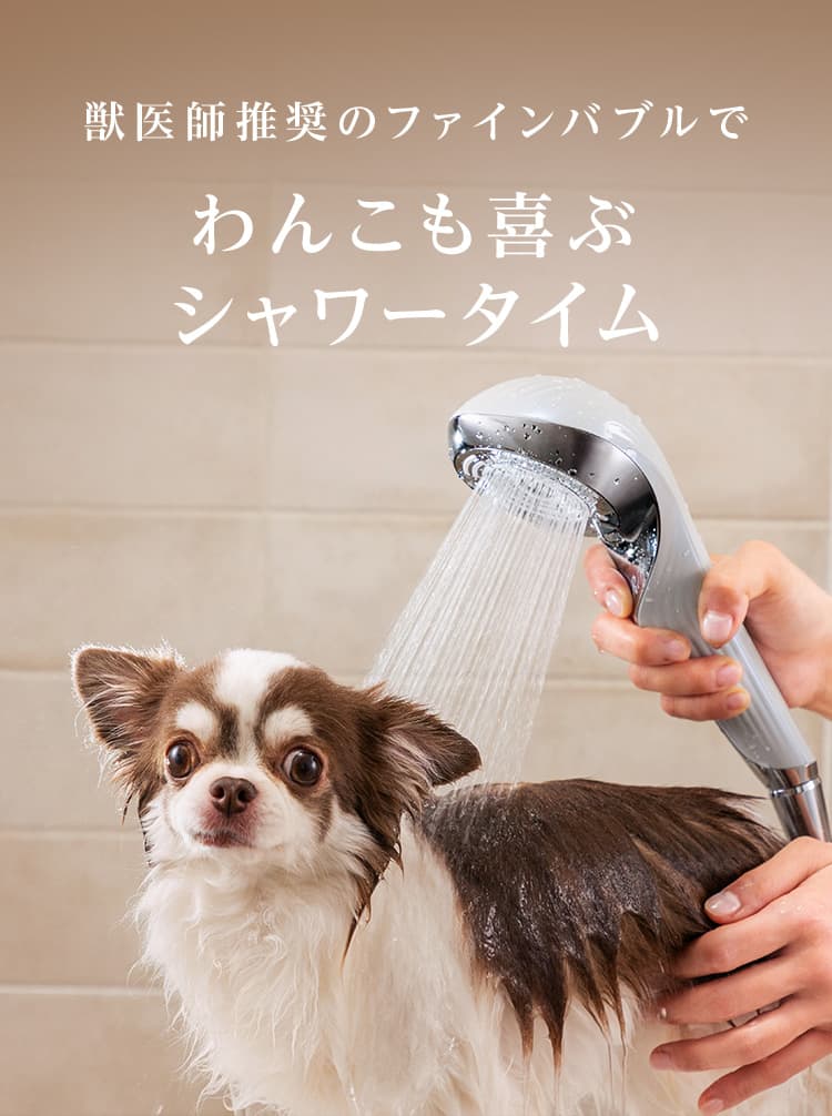 獣医師推奨のファインバブルでわんこも喜ぶシャワータイム