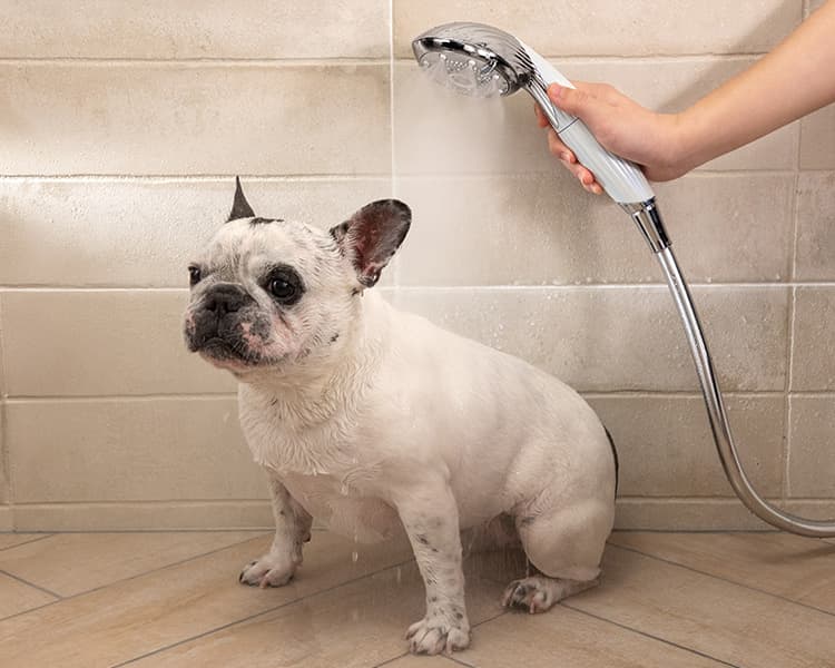 高い洗浄力で「時短」