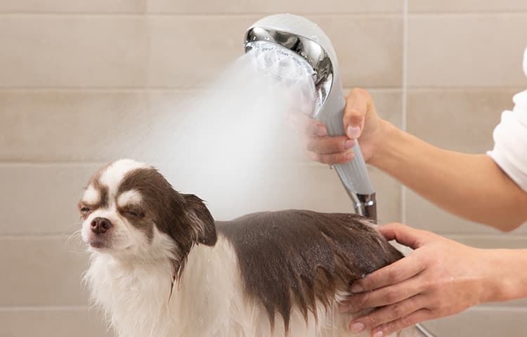 しっかり汚れを落として「ニオイ軽減」