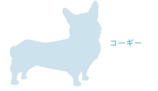 コーギー