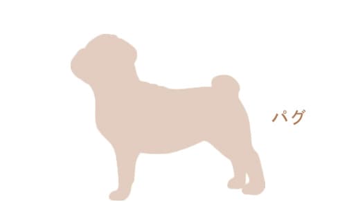 パグ