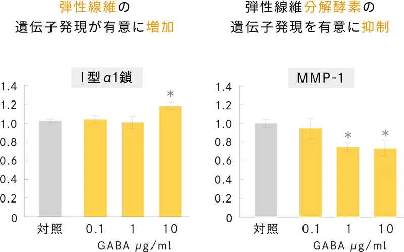 肌弾力関連遺伝子 相対発現量