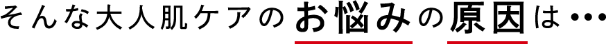 そんな大人肌ケアのお悩みの原因は…