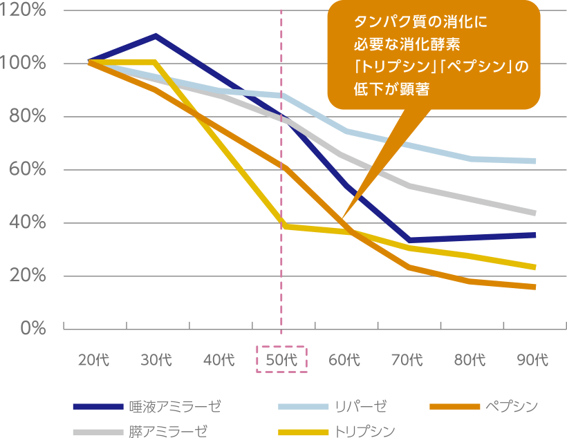 タンパク質の消化に必要な消化酵素「トリプシン」「ペプシン」の低下が顕著