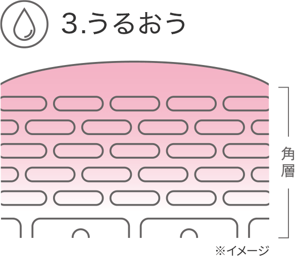 3.うるおう