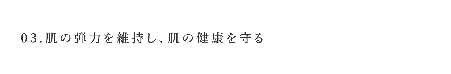 03.肌の弾力を維持し、肌の健康を守る