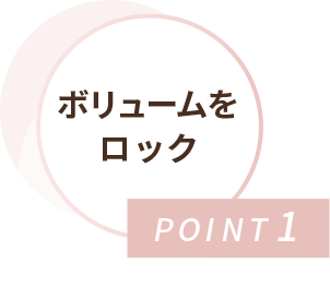 POINT1 ボリュームをロック