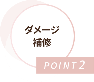 POINT2 ダメージ補修