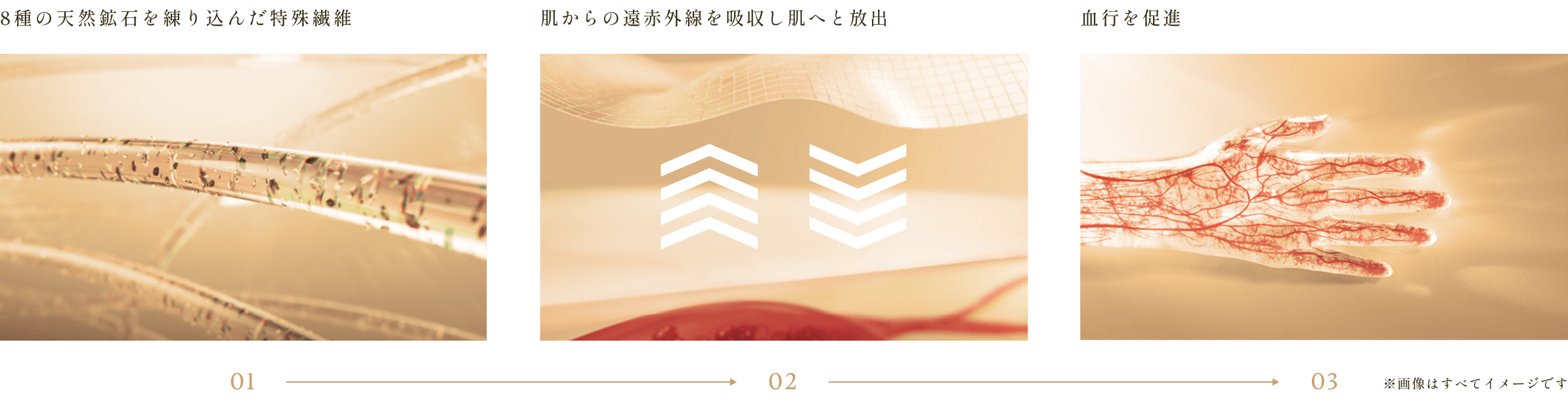 血行促進のメカニズム