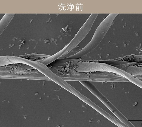 洗浄前