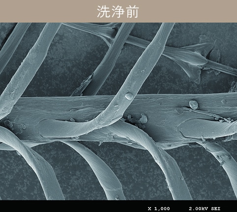洗浄前