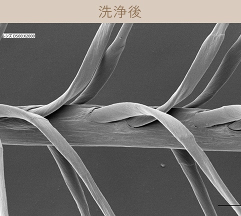 洗浄後