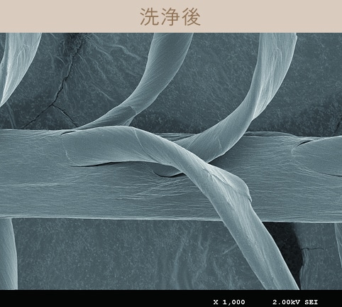 洗浄後