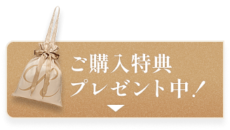 ご購入特典プレゼント中！