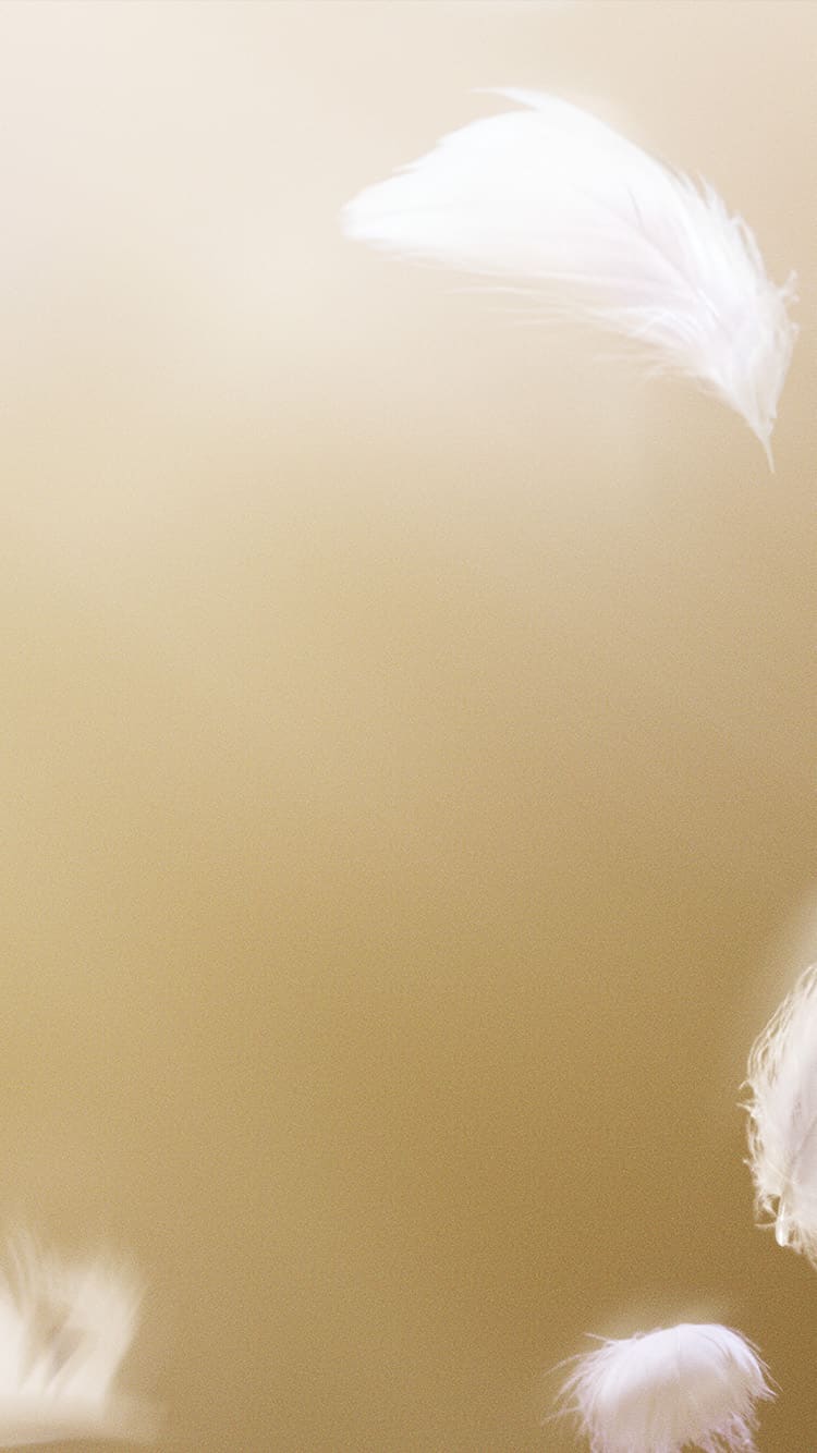 リファ バイタルピロー