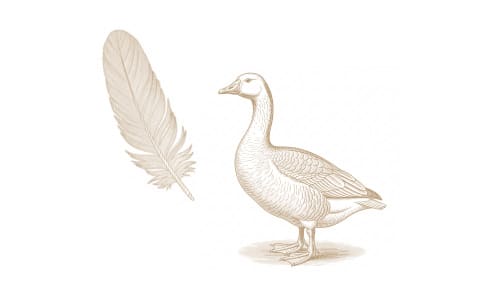 ハンガリー産プラチナグース