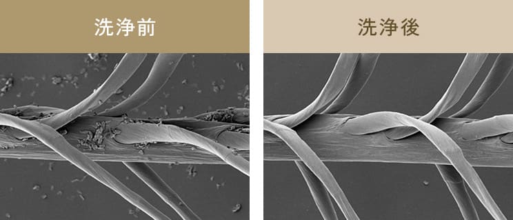 洗浄前と洗浄後の比較