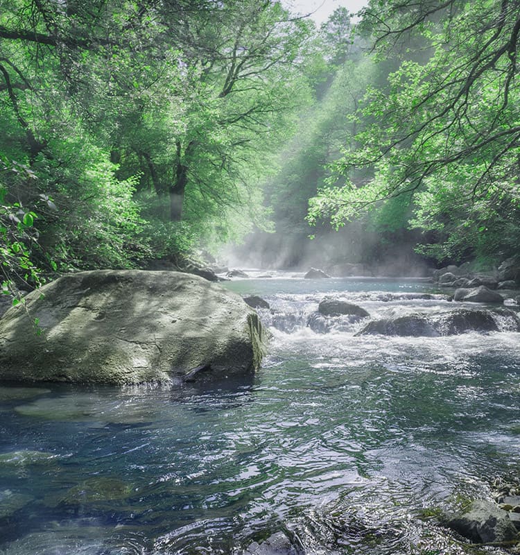 “三重・伊勢の超軟水で洗浄