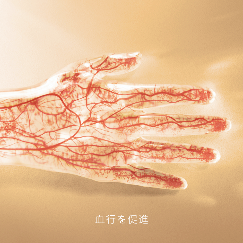 血行を促進