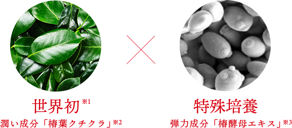 世界初※1 潤い成分「椿葉クチクラ」※2 × 特殊培養 弾力成分「椿酵母エキス」※3