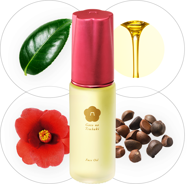 定期購入 初回50 Off 五島の椿 椿酵母オイル フェイス 30ml Ns Beauty Refa リファ Sixpad シックスパッド Style スタイル Pao パオ のオンラインショップ Mtg Onlineshop 定期購入 初回50 Off 五島の椿 椿酵母オイル フェイス 30ml Ns Beauty Refa リファ Sixpad シックスパッド Style スタイル Pao パオ のオンラインショップ Mtg Onlineshop