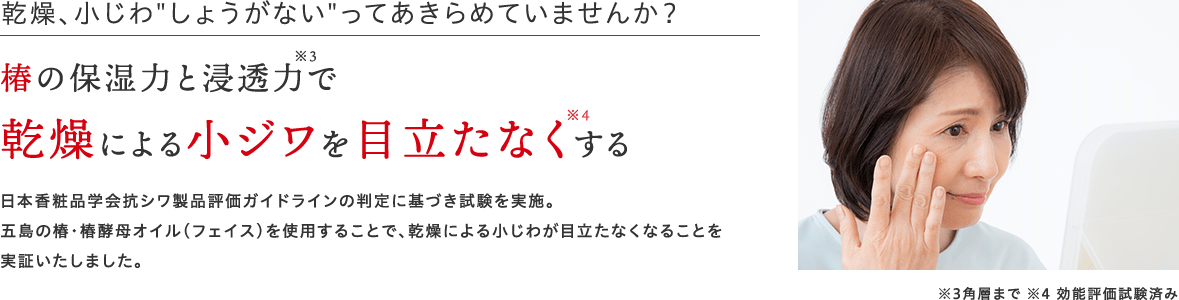 椿の保湿力と浸透力で乾燥による小ジワを目立たなくする