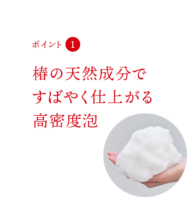 ポイント1 椿の天然成分ですばやく仕上がる仕上がる高密度泡