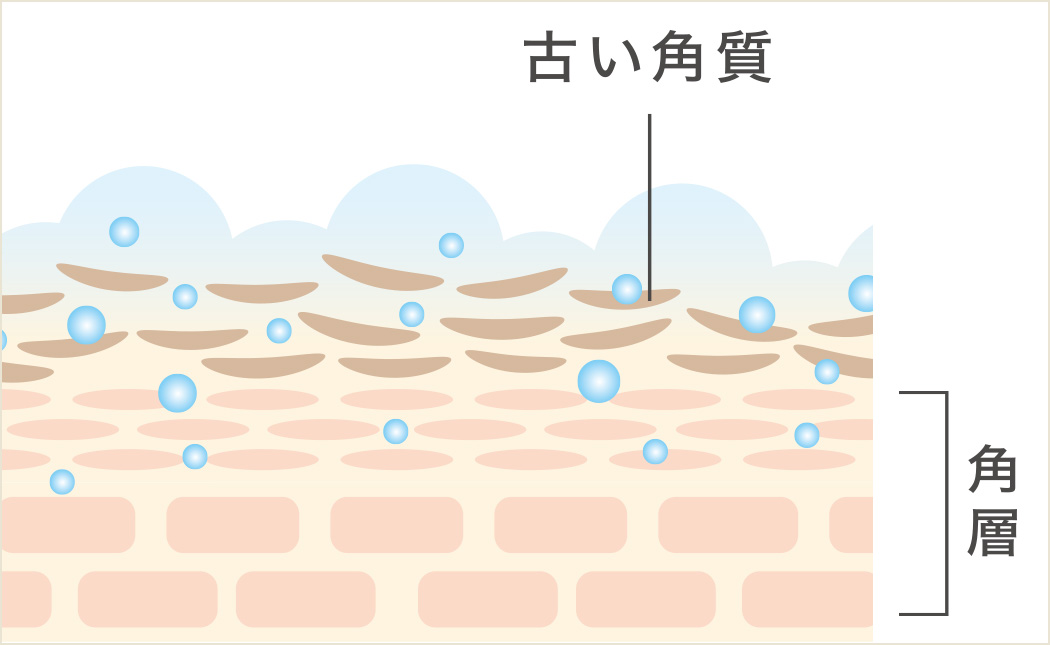 古い角質と角層の図