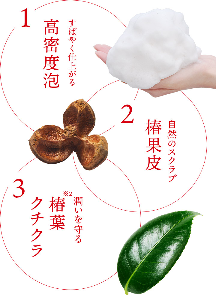 定期購入】【初回50%OFF】五島の椿・椿酵母せっけん（60g） (ns