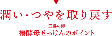 潤い・つやを取り戻す 五島の椿・椿酵母せっけんのポイント