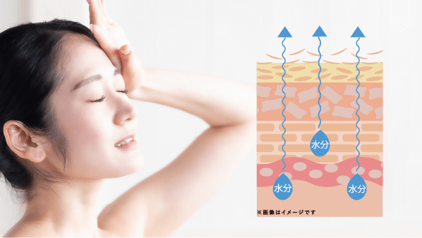 肌から水分が出ていく図
