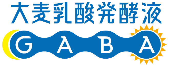 大麦乳酸発酵液GABA