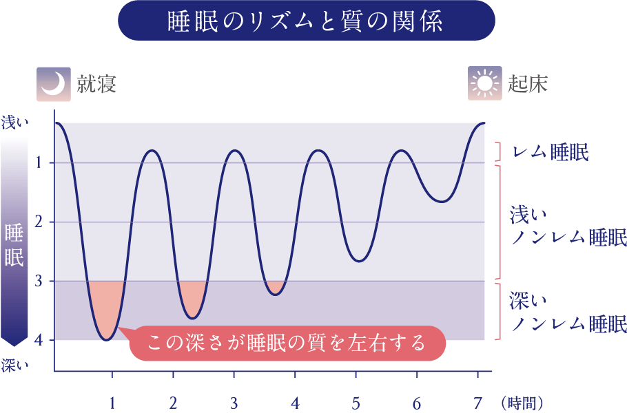 睡眠のリズムと質の関係