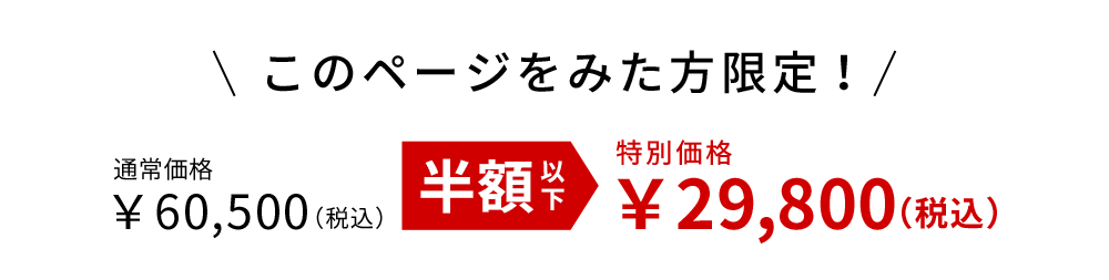 このページを見た方限定！半額以下：特別価格 29,800円(税込)