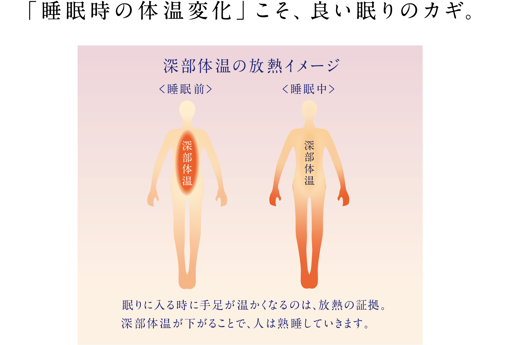 「睡眠時の体温変化」こそ、良い眠りのカギ。