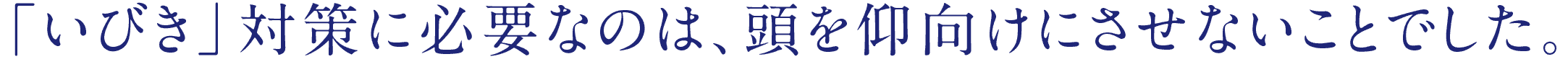 「いびき」対策に必要なのは、頭を仰向けにさせないことでした。