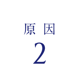 原因 2