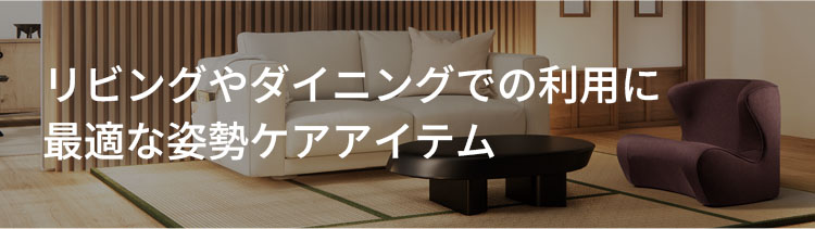 リビングやダイニングでの利用に最適な姿勢ケアアイテム