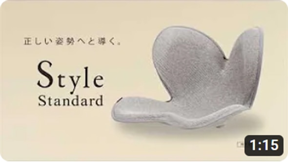 Style Standard