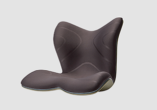 Style PREMIUM 発売