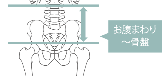 Style Lumbar Deluxeの着用位置