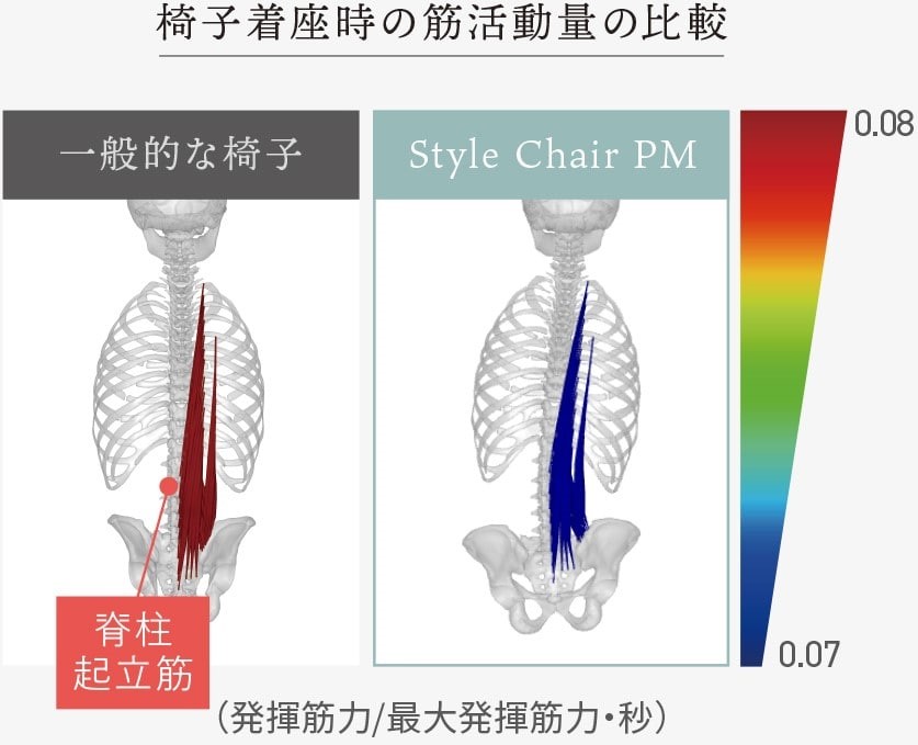 椅子着座時の筋活動量の比較